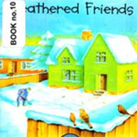 feather friends