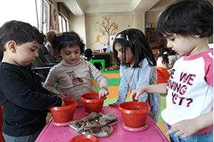 عکسهای روز     98.2.9