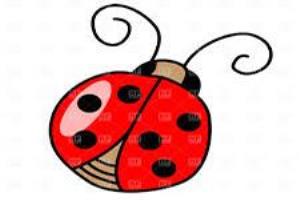 song 18-Lady bird